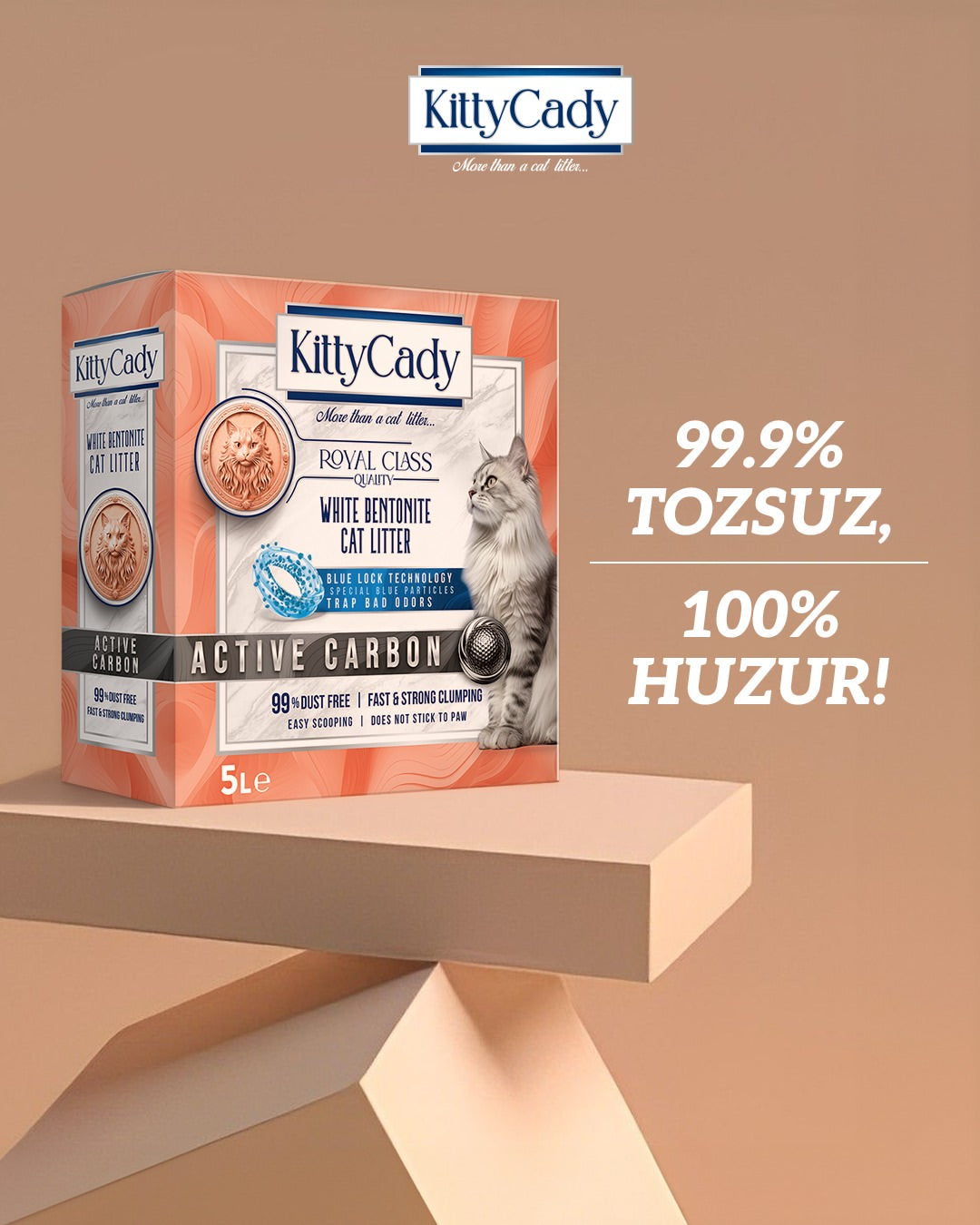 KittyCady Active Carbon 5L kutu, tozsuz beyaz bentonit kedi kumu