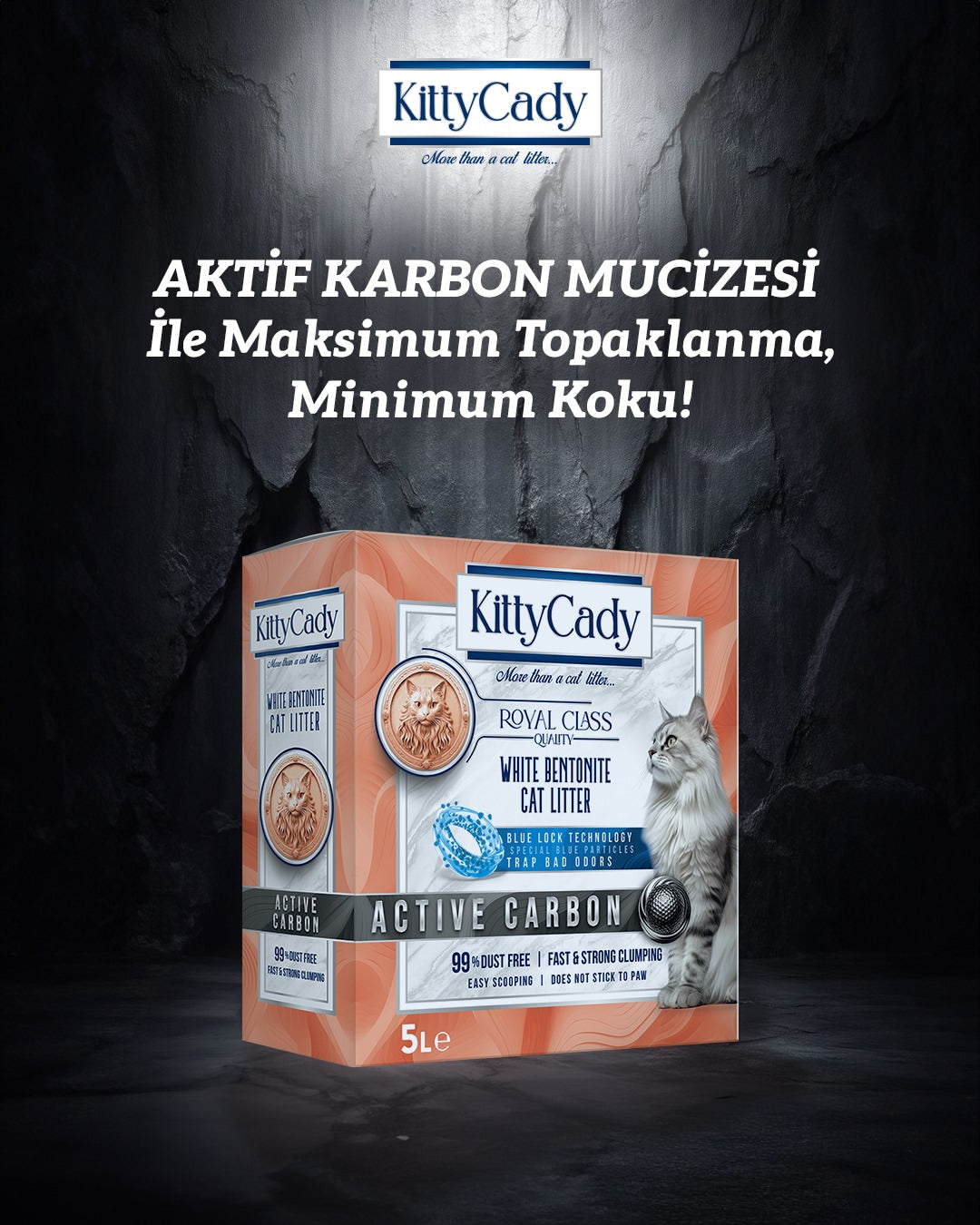 KittyCady Active Carbon aktif karbonlu kedi kumu kutusu, koyu taş arka plan