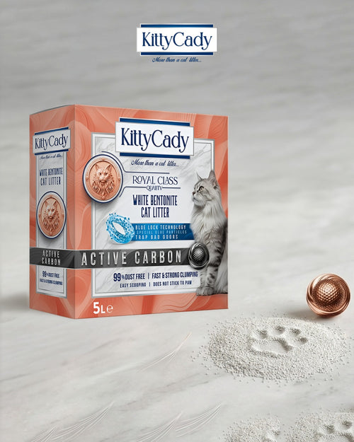 KittyCady N° 01 Active Carbon kutusu, mermer zeminde beyaz bentonit kum ve pati izi