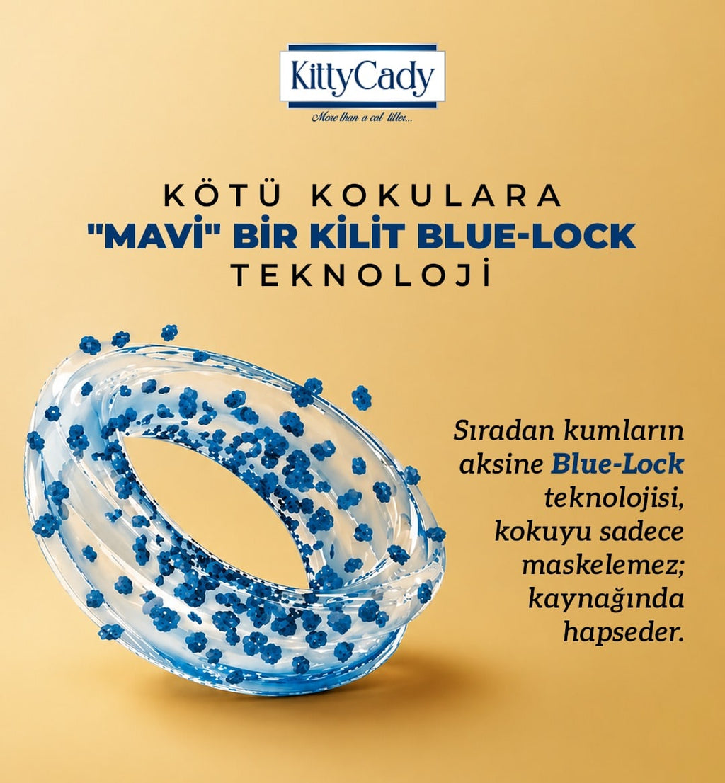 Blue Lock teknolojisi: mavi partiküller kötü kokuyu kaynağında hapseder